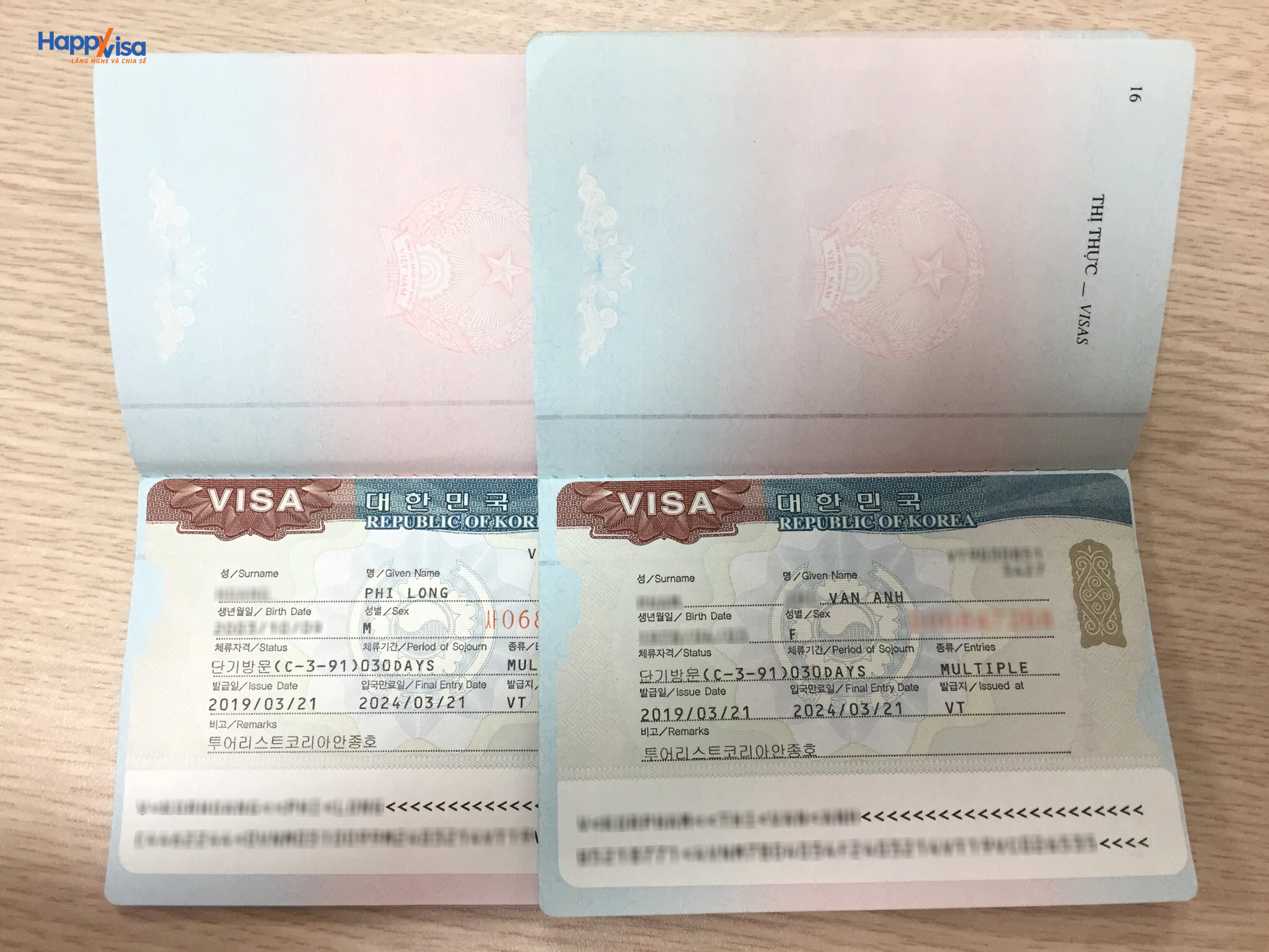 visa multiple
